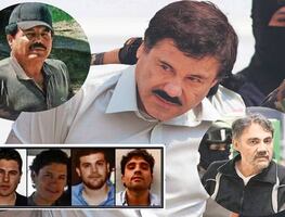 EU designa a cárteles mexicanos como grupos terroristas; incluye al Cártel de Sinaloa, CJNG y Familia Michoacana