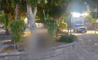 Localizan a mujer sin vida en el Jardín de San Sebastián en San Luis Potosí