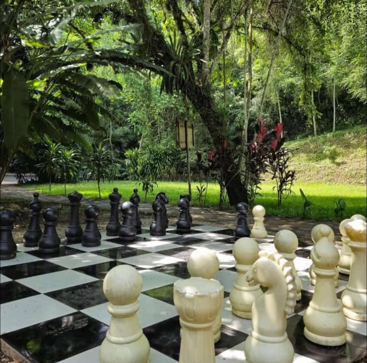 Ajedrez Gigante. Foto:  La Huerta