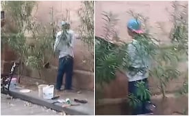VIDEO: Joven grafitea templo del Señor del Saucito en SLP y su mamá lo lleva a reparar el daño