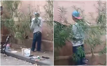 VIDEO: Joven grafitea templo del Señor del Saucito en SLP y su mamá lo lleva a reparar el daño