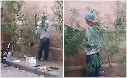 VIDEO: Joven grafitea templo del Señor del Saucito en SLP y su mamá lo lleva a reparar el daño
