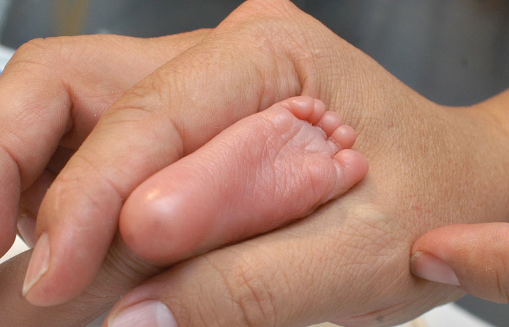 Foto: cortesía IMSS.