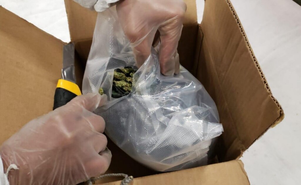 Decomisan un kilogramo de marihuana en aeropuerto de San Luis Potosí