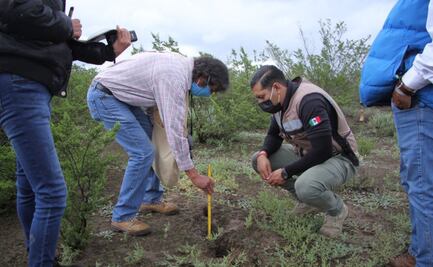 Especialistas analizan falla geológica en Soledad, SLP