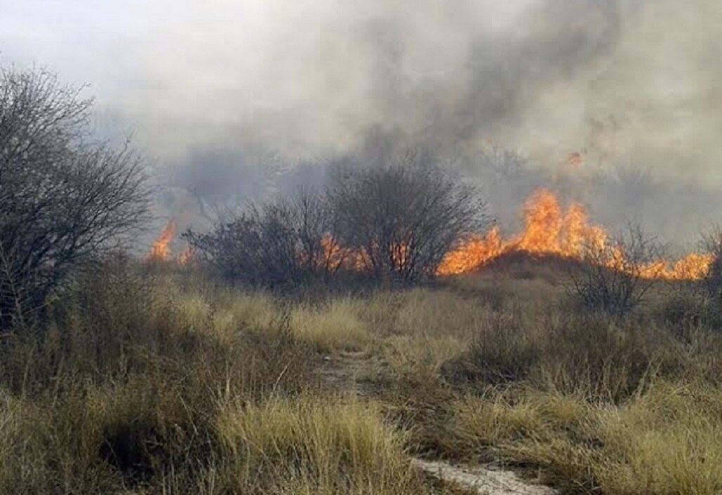 Predios abandonados en riesgo de incendio