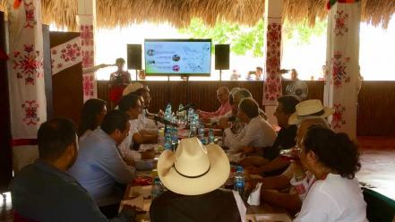 Aeropuerto podría construirse en Valles o Tamuín: Torruco