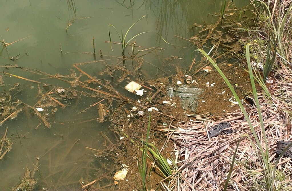 Parque industrial WTC arrojó aguas residuales a arroyo; “muy grave” considera CEA