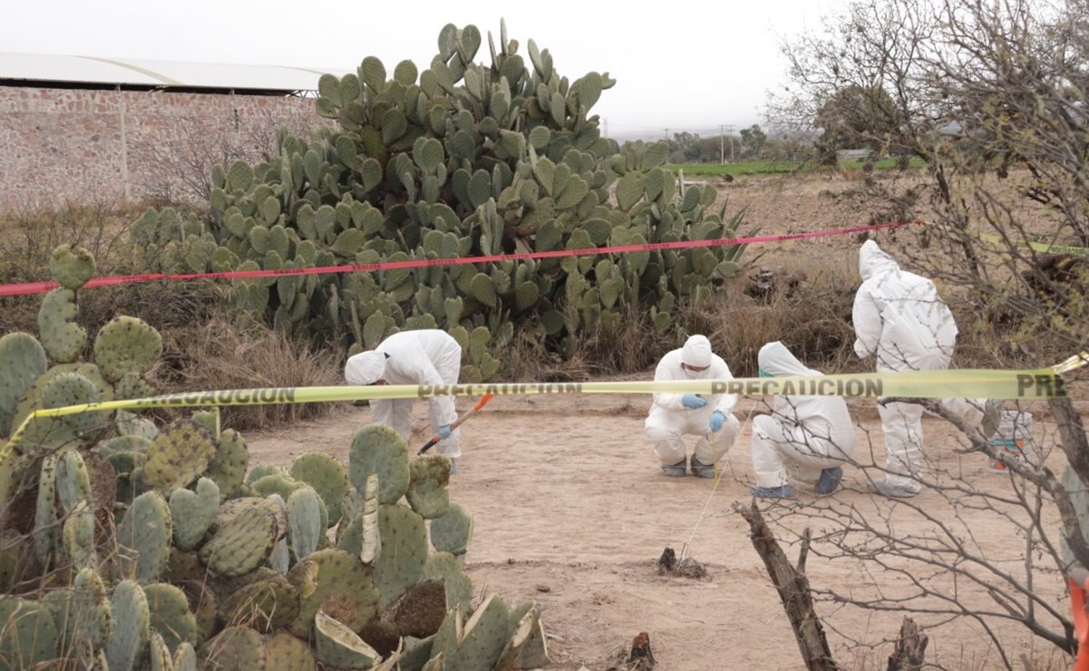 Recolectan casi 3 kilos de restos óseos en ejido de Soledad