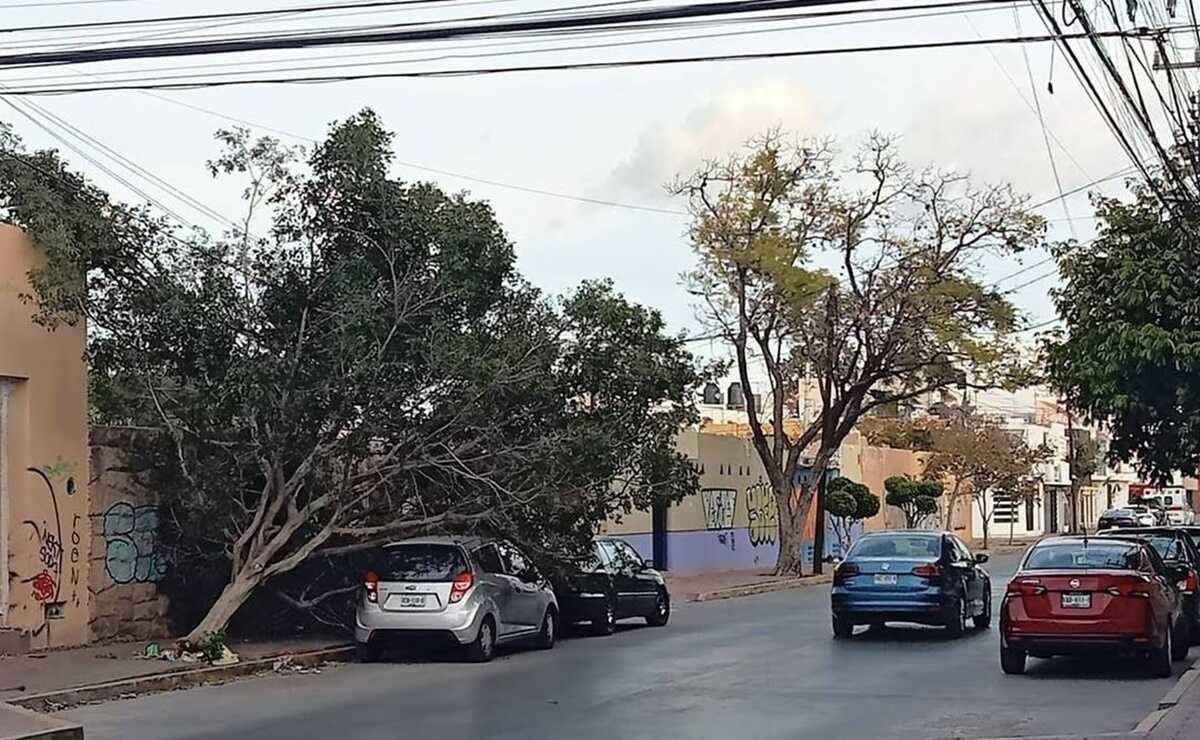 Seguirán vientos fuertes y tolvaneras en SLP, alerta Servicio Meteorológico Nacional