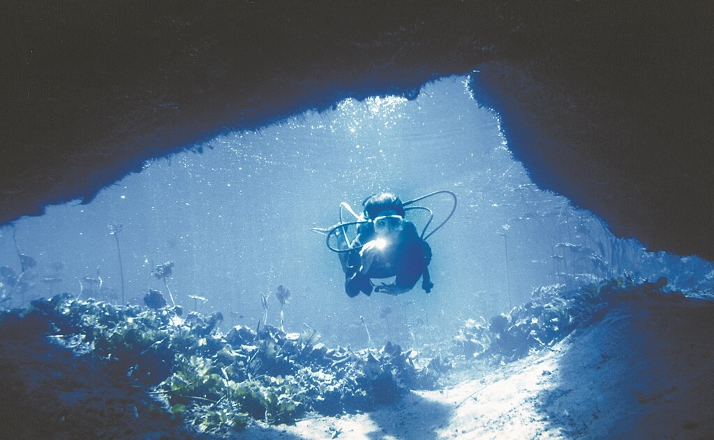 ¿Qué actividades puedes hacer en la laguna de la Media Luna, en Rioverde?