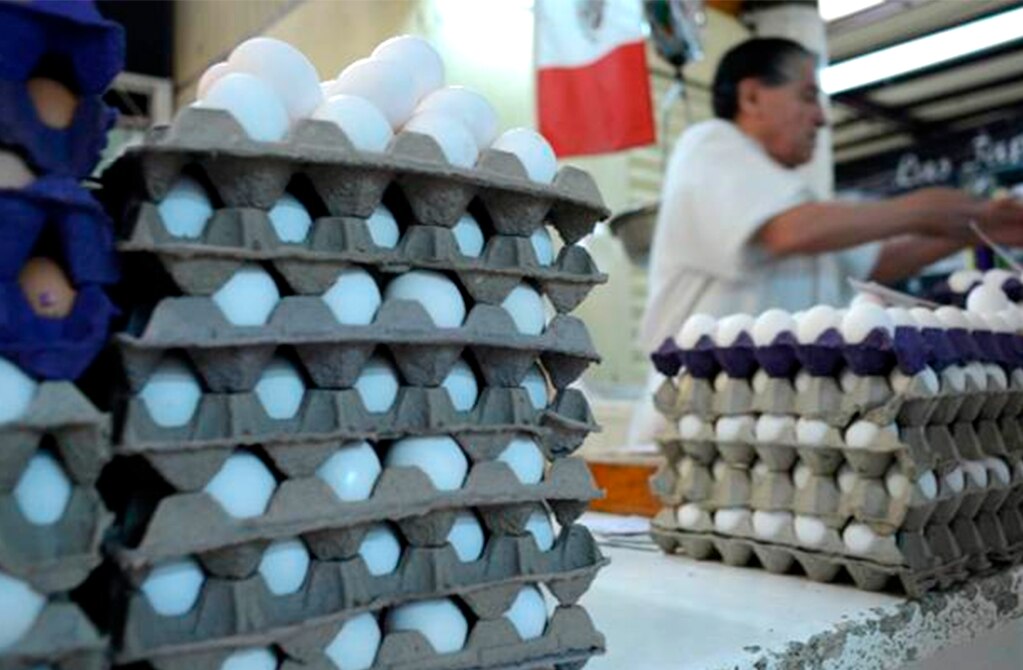 Precio del huevo se mantiene en SLP 