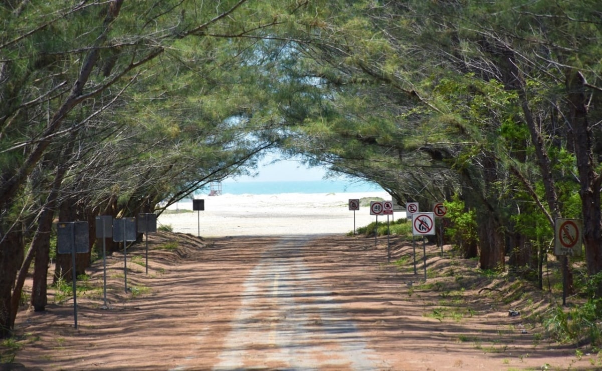 Foto: Gobierno del Estado de Tamaulipas.