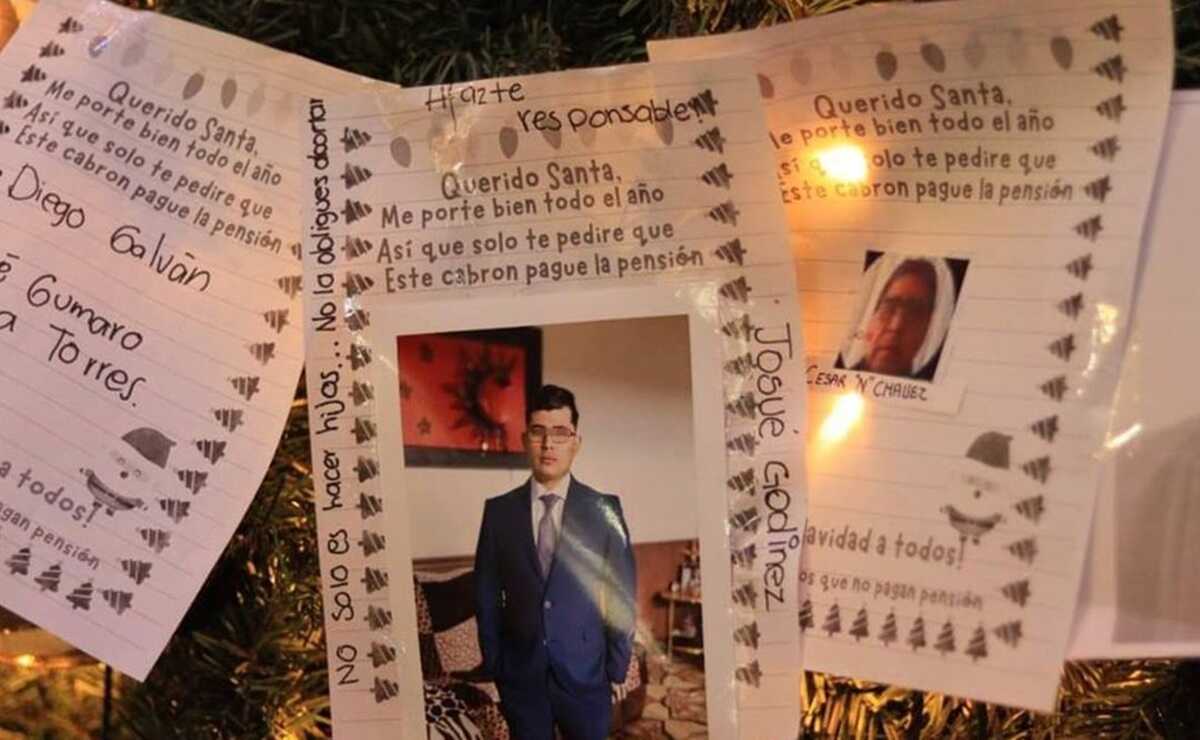 "Si no es público, es ineficiente": impulsora de Ley Sabina sobre Padrón de Deudores Alimentarios en SLP