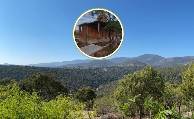 Las Cruces: Así son las cabañas en medio del bosque para disfrutar durante el invierno a sólo 40 minutos de SLP