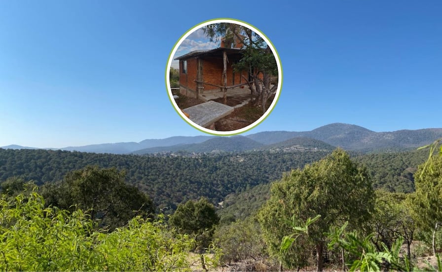 Las Cruces: Así son las cabañas en medio del bosque a sólo 40 minutos de SLP