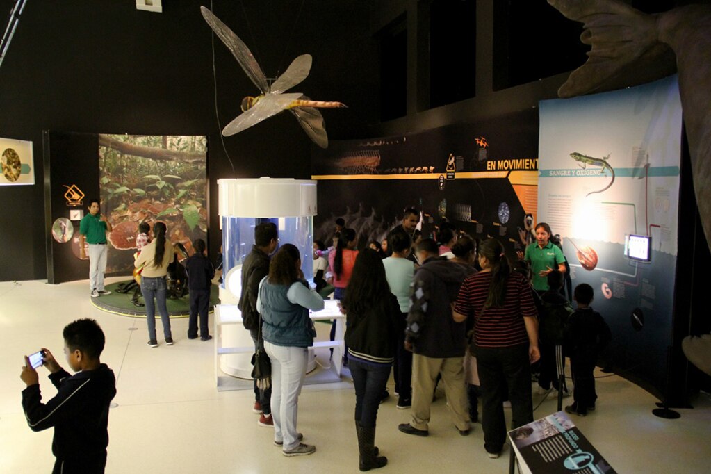 Exposición “Superhéroes de la naturaleza” se exhibe en Laberinto de las Ciencias y las Artes