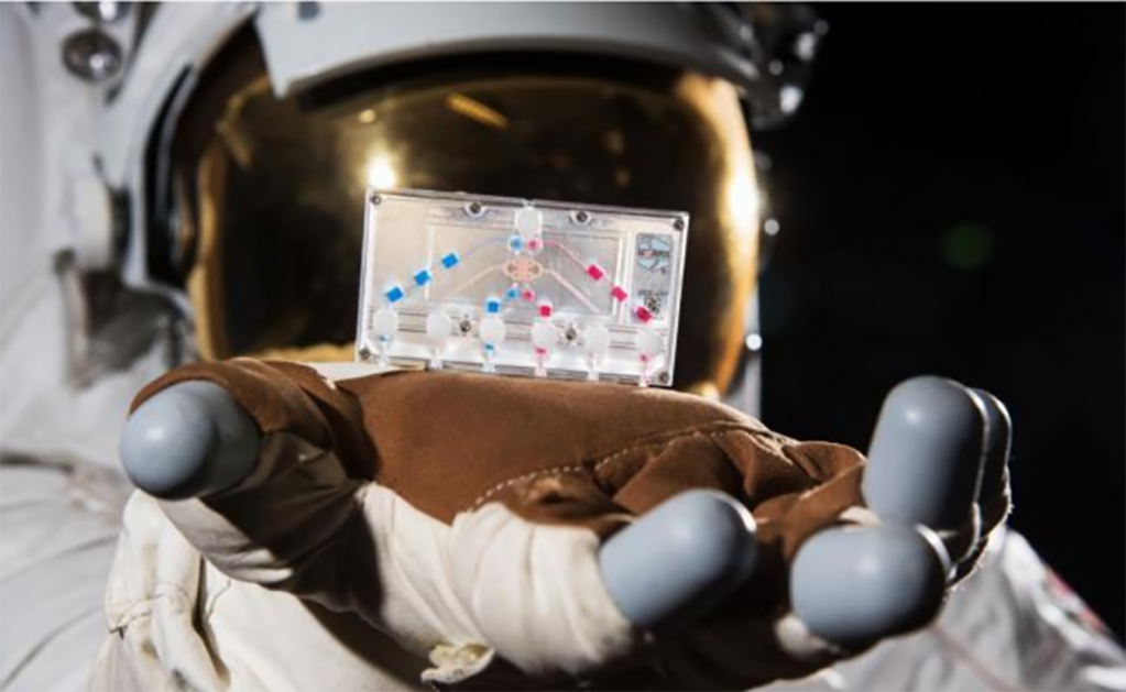 NASA enviará al espacio tejido humano en chips