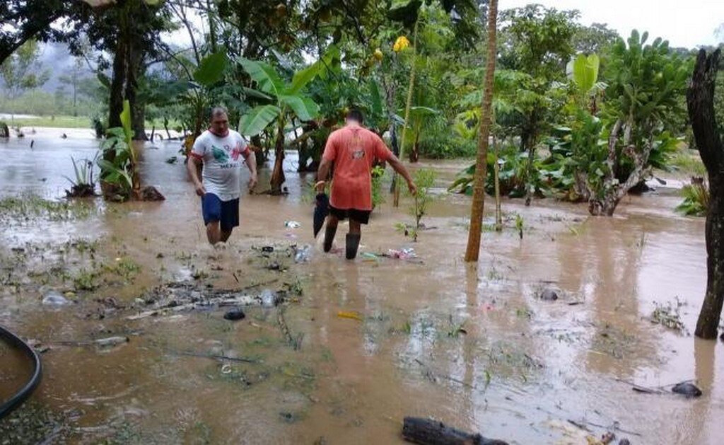  Por "Vicente" fallecen 13 personas en Oaxaca