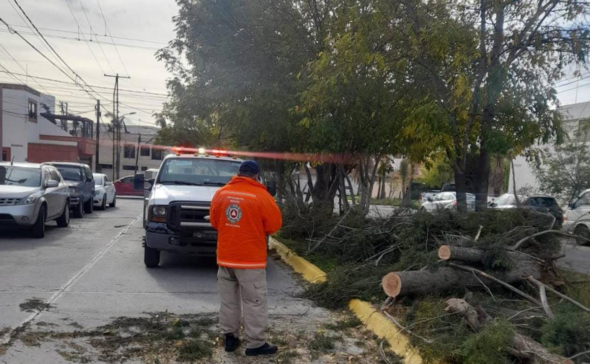 Qué hacer ante una emergencia por las fuertes ráfagas de viento que azotan SLP