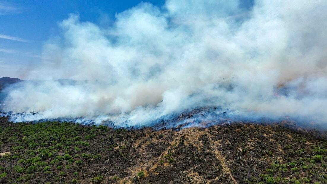 Un fuerte incendio se registra esta tarde en el municipio de Mexquitic de Carmona. Foto: Especial