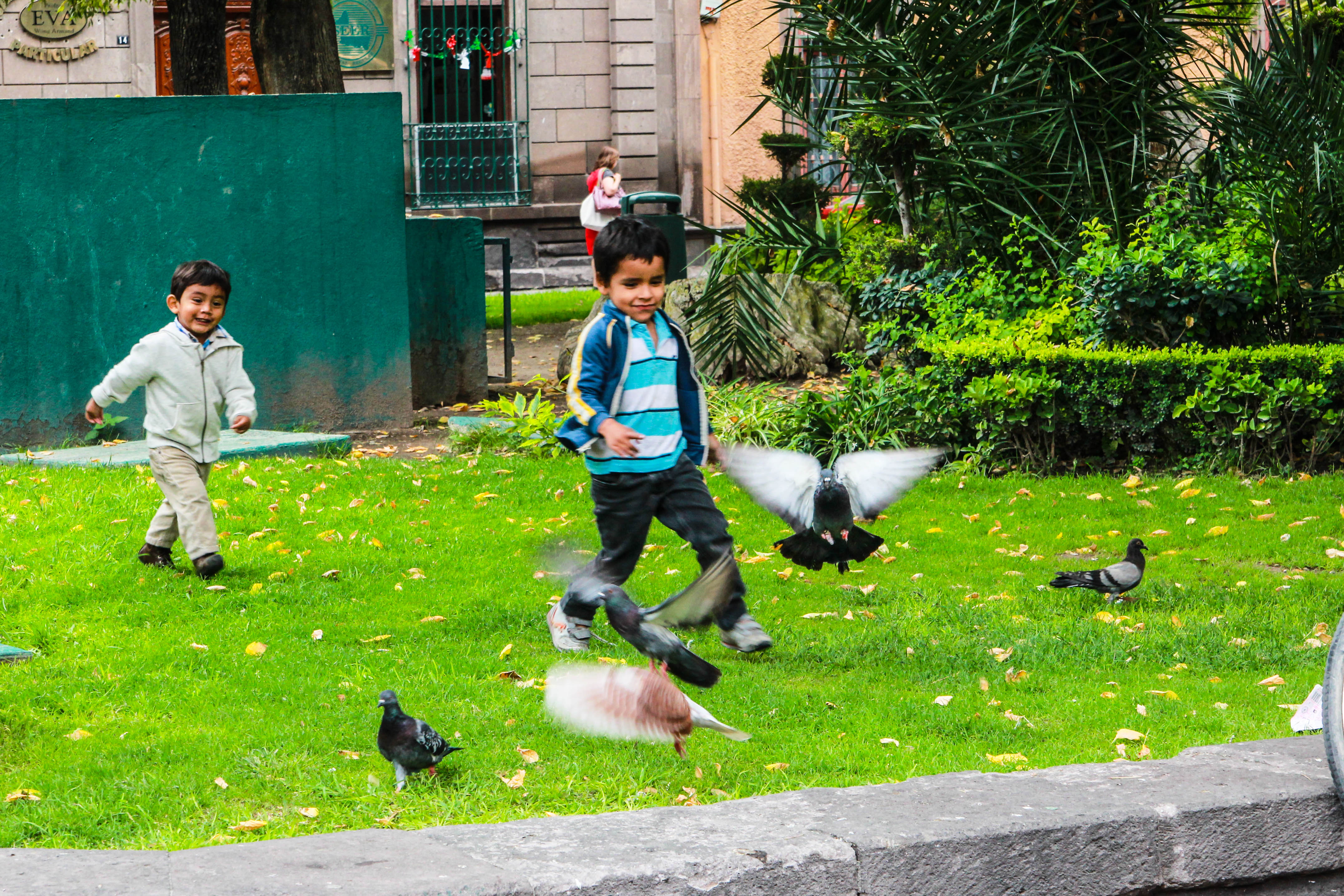 Inicia programa “Rescatando la ciudad de los jardines”