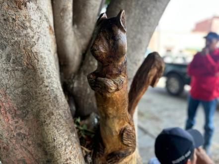 Potosino transforma árboles podados en esculturas de animales en Villa de Reyes