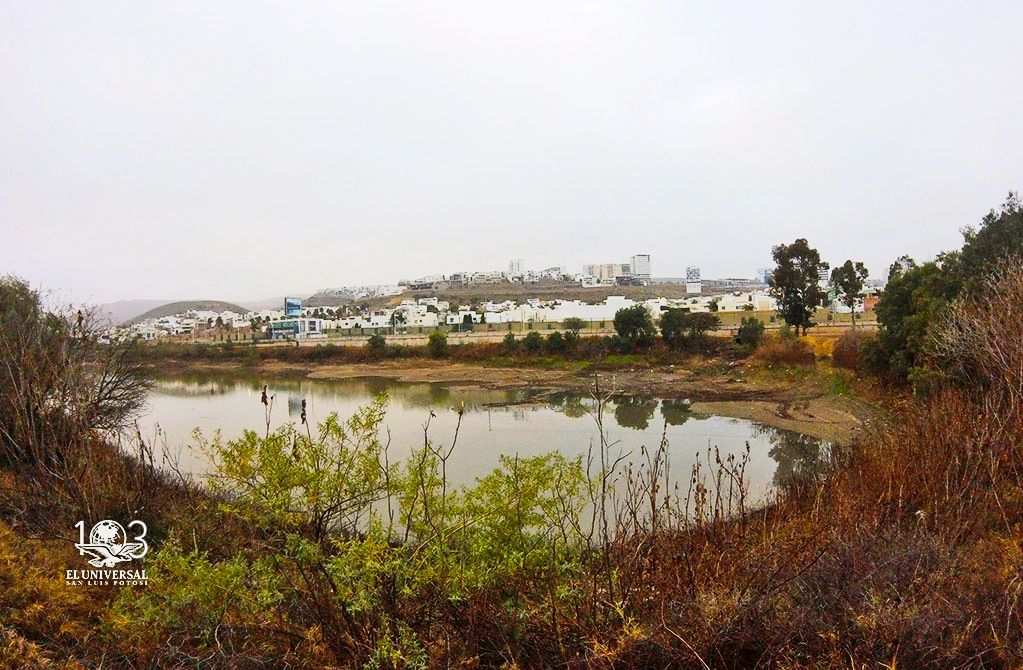 Mantos acuíferos, afectados por el crecimiento urbano