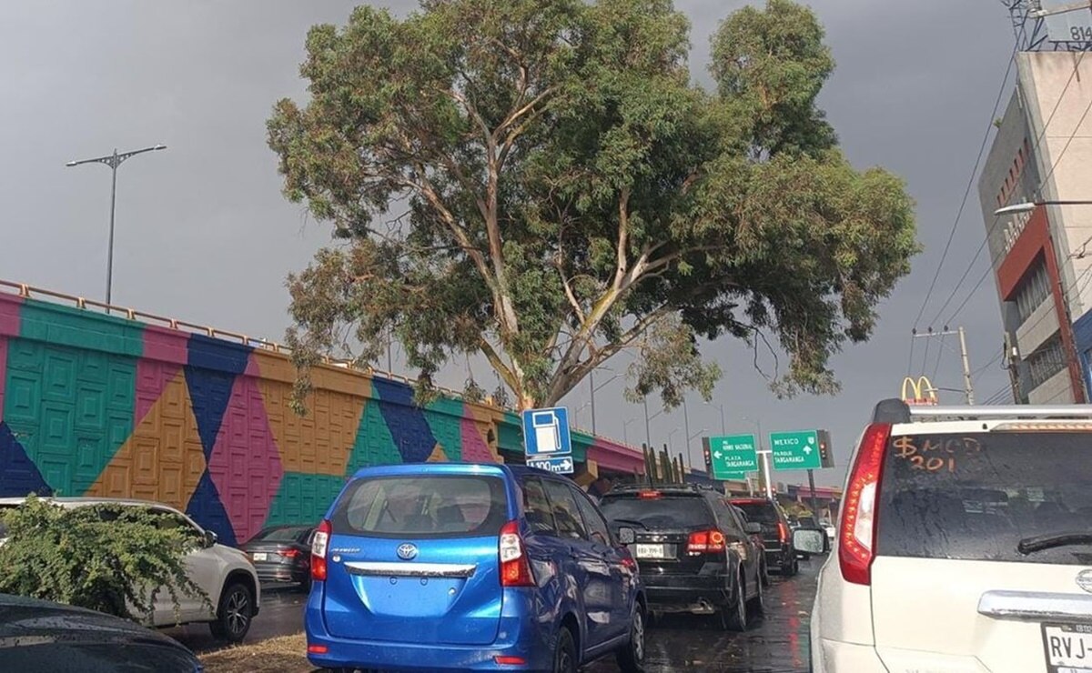 Ante peligro por islas de calor, buscan impulsar forestaciones en zonas urbanas de SLP