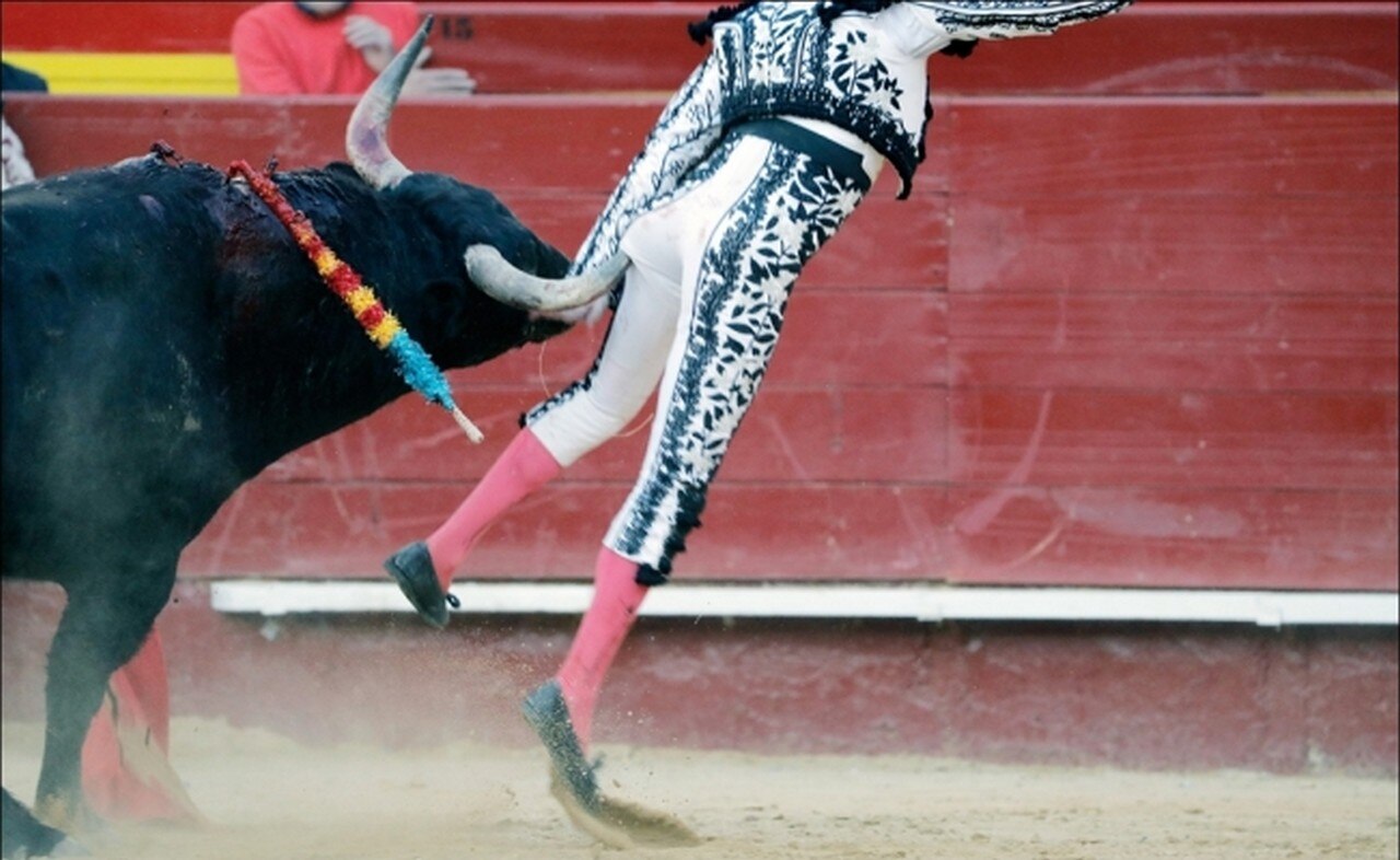 Durante la faena de muleta al quinto toro de la corrida de hoy de la feria de Fallas de Valencia. Foto: EFE