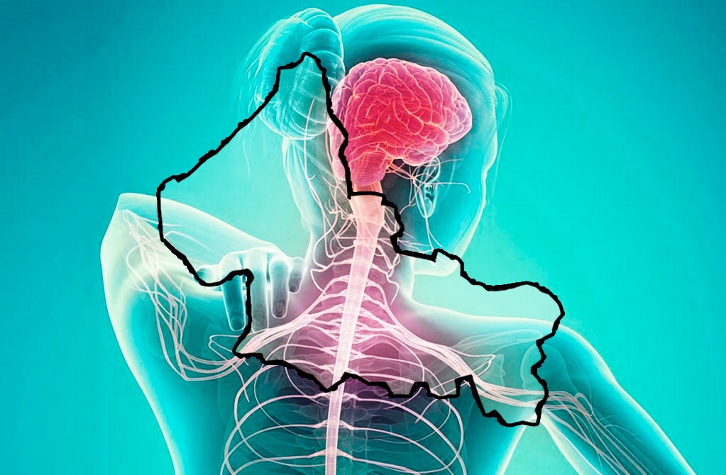 Esclerosis múltiple, enfermedad  común entre  potosinos