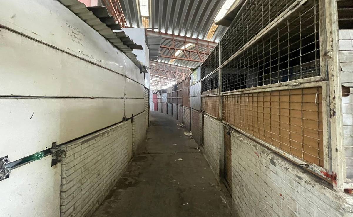 Municipalizar el Mercado San Luis 400, la propuesta para rescatar al ícono comercial de la capital