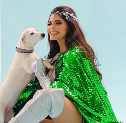 Día Mundial del Perro. Ana Bárbara, Rubí Ibarra, Enrique Galindo, y otros potosinos amantes de los perritos