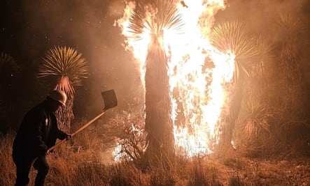 Pide gobierno de SLP "mano dura" contra iniciadores de incendios forestales
