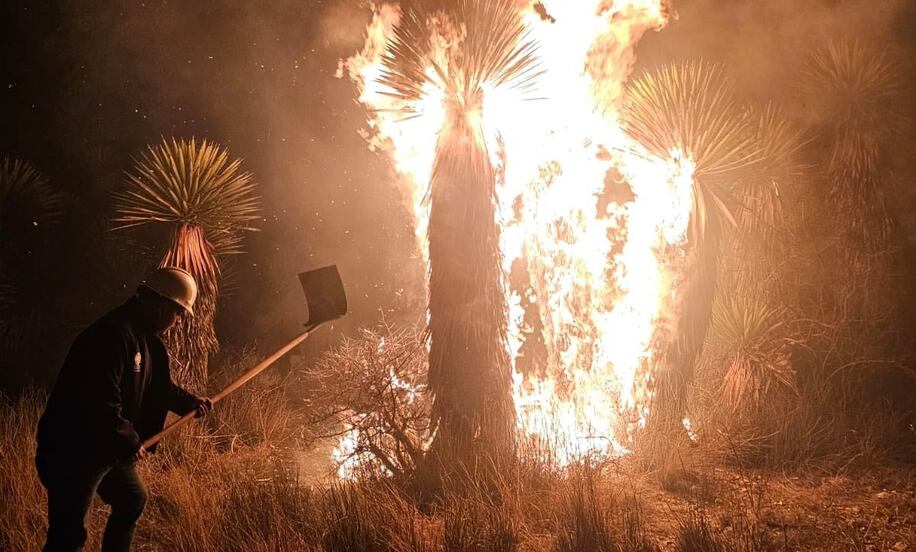Pide gobierno de SLP "mano dura" contra iniciadores de incendios forestales