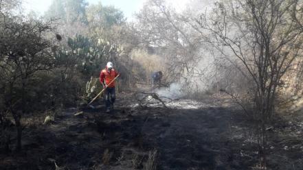 Fuego consume bodega de tarimas 