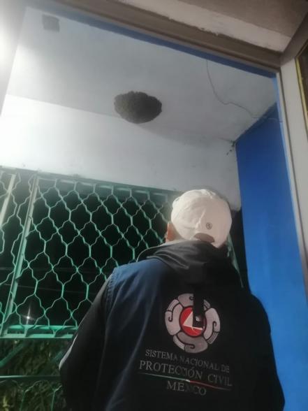 Alerta PC de Soledad ante riesgos por enjambres de abejas en algunas zonas