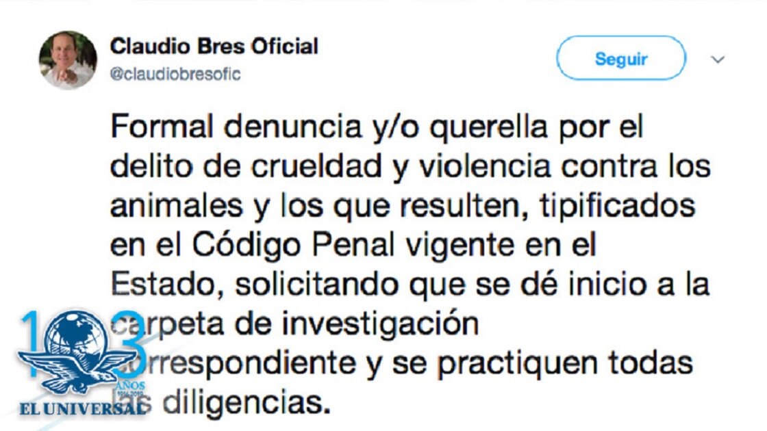 Muestran denuncia contra sujeto que apuñaló a perro al que ofrecía comida
