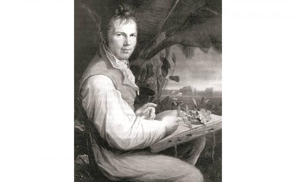 Una carta de Humboldt saldrá a subasta en México