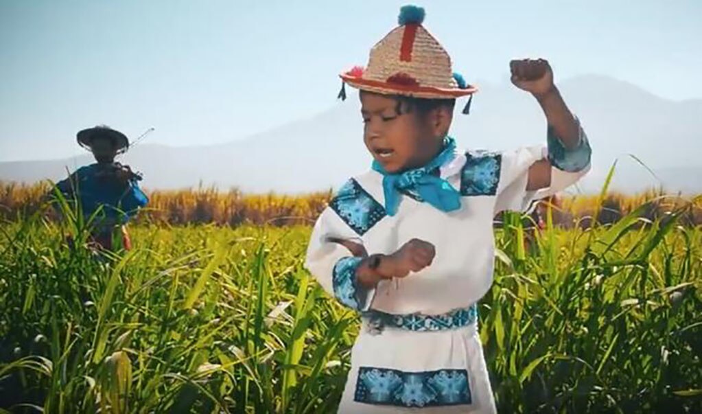 Yuawi, el niño del spot viral de "Movimiento naranja"