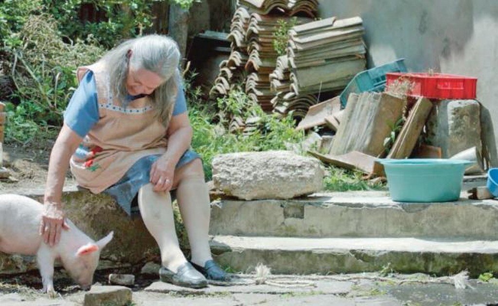 Una cerdita le devuelve las ganas de vivir a una anciana de pueblo. (CORTESÍA)