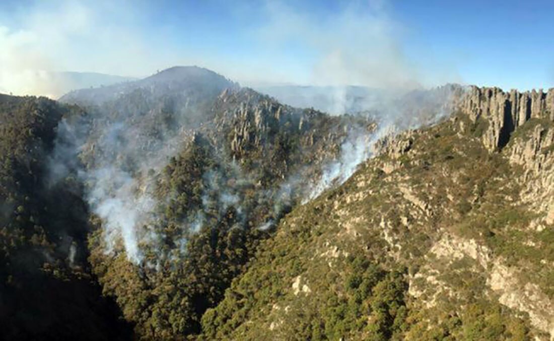 Pese a hectáreas siniestradas, SEDARH no contempla reforestación en Sierra de San Miguelito