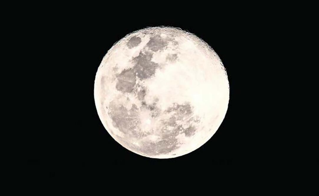 Foto: Archivo / EL UNIVERSAL