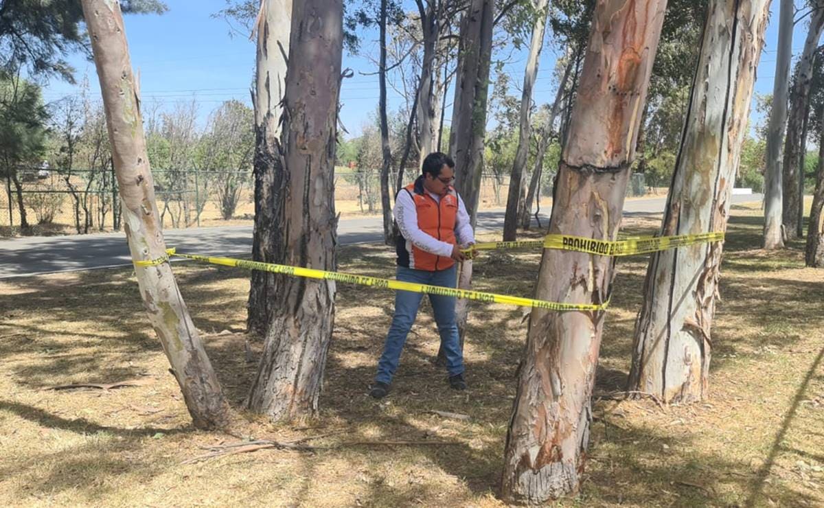 Muere hombre de un infarto en el Parque Tangamanga l