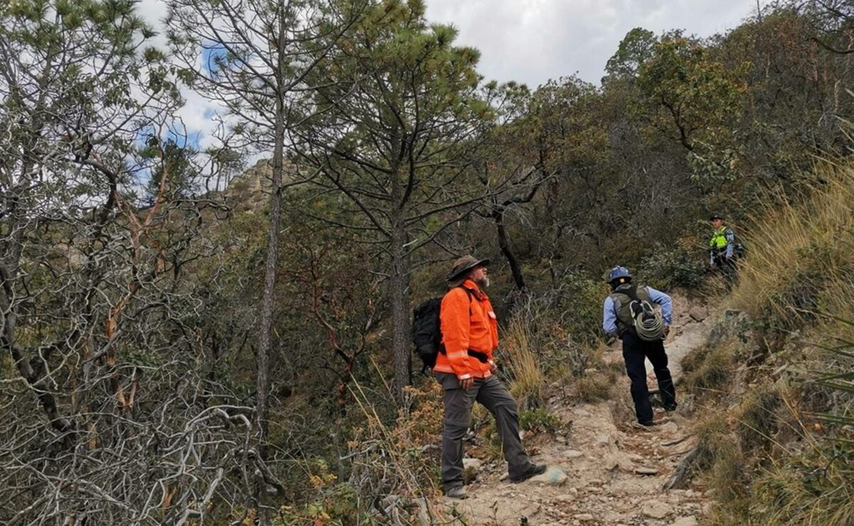 Brigadas buscan al adulto mayor desaparecido en la Sierra San Miguelito de SLP. Foto: Especial