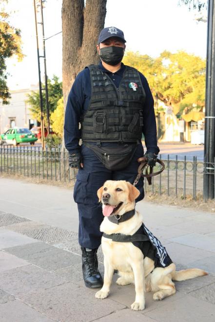 Bonie, Candie y Camila, un ejemplo de amor y profesionalismo de la unidad canina de SLP
