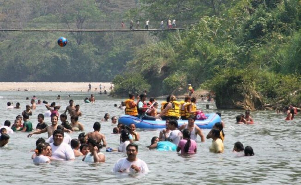 'Burkholderia', la bacteria que mató a dos jóvenes en Sonora. ¿Qué es?