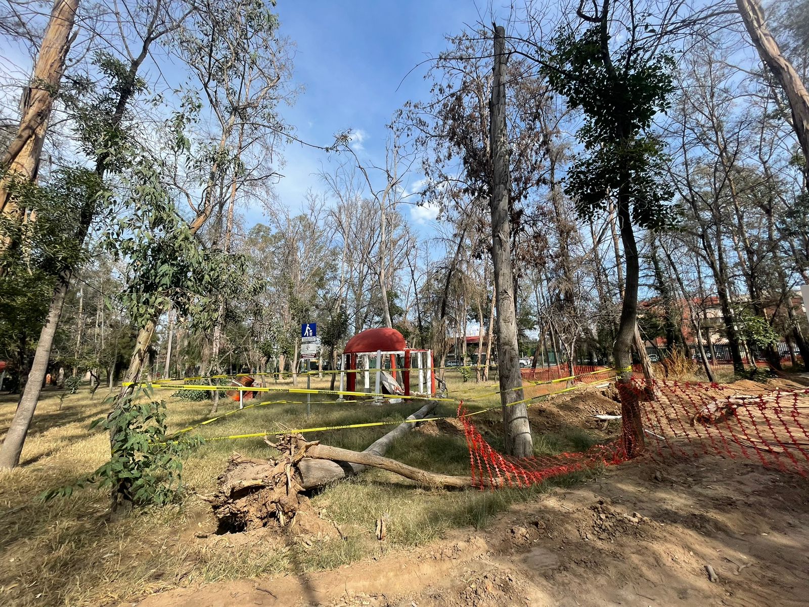 Foto: Humberto Torres