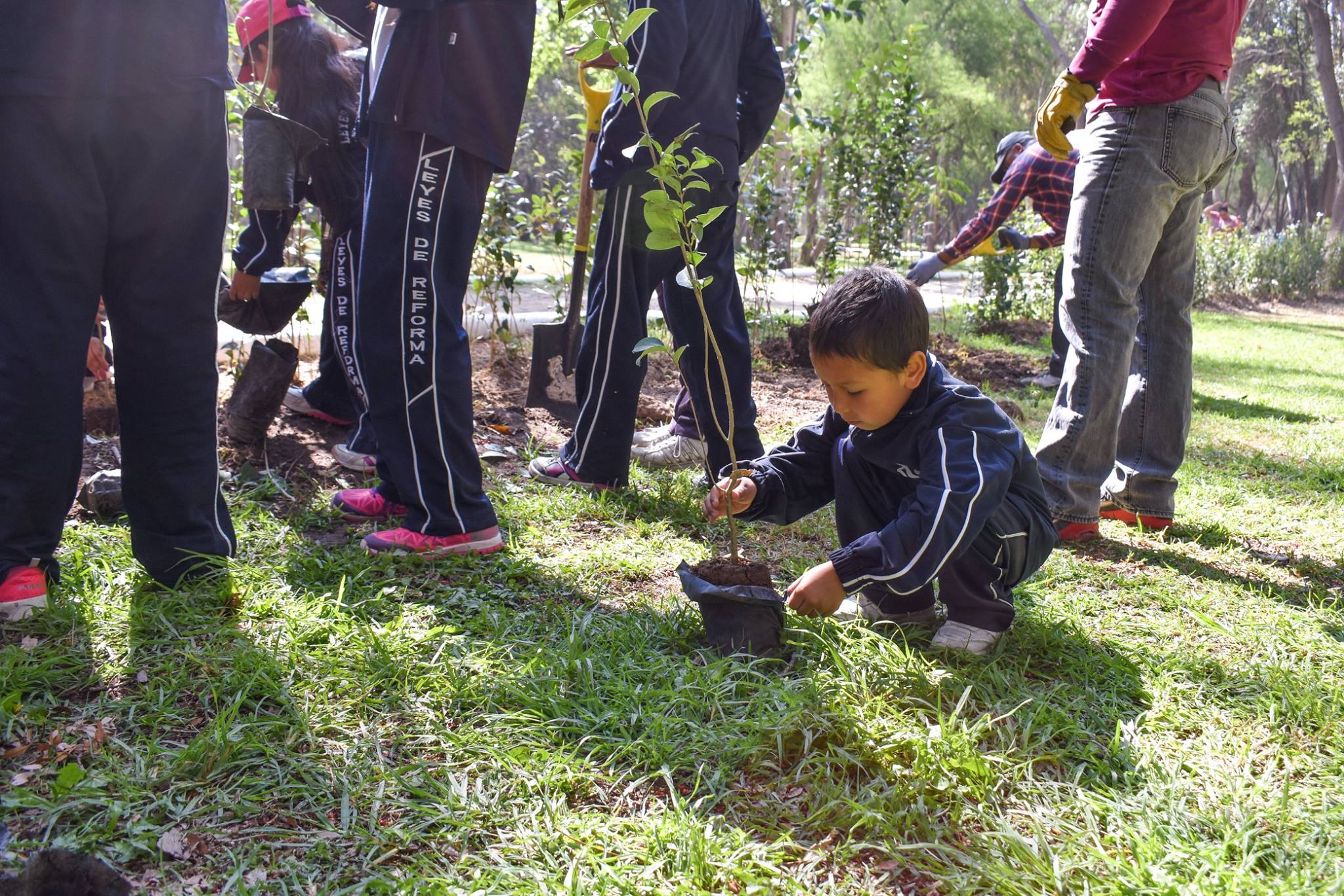 En cuatro años se han plantado más de 10 millones de árboles en SLP, resalta JMCL