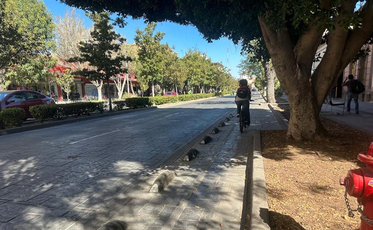 “No se pide que desaparezca, sino que sea funcional”: restauranteros sobre ciclovía de Venustiano Carranza. Foto: Cecilia Lara